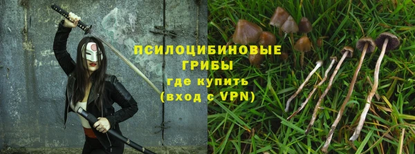 амф Алексеевка