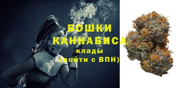 сатива Каменск-Шахтинский