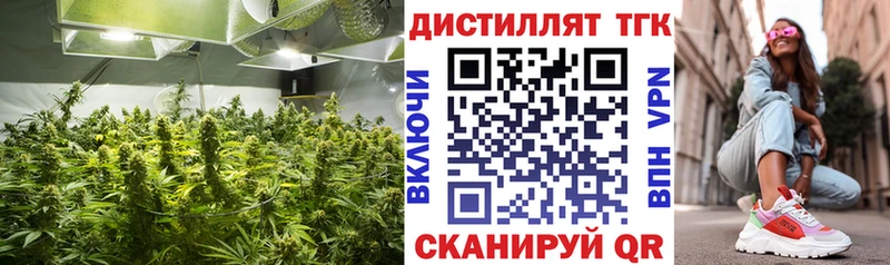 хочу наркоту  Котовск  ТГК вейп с тгк 